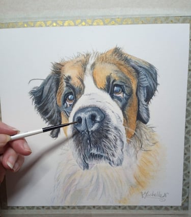 Pet Portrait commissioned, St Bernard