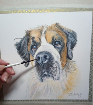 Pet Portrait commissioned, St Bernard