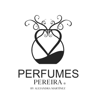 creadores de páginas web en pereira
