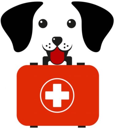 Comportementaliste canin à Sapignies