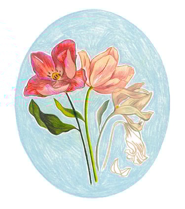 a drawing of a flower in a circle