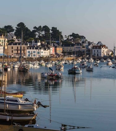 Sauson Belle-Île-en-Mer