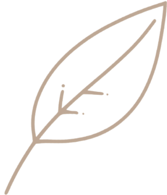 minimal hand-drawn line art leaf icon, single stroke, no fill, light brown color, transparent background, SVG