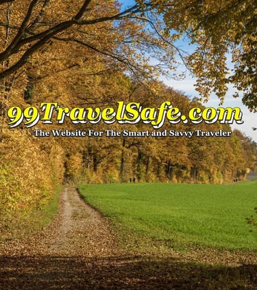 Travel Safety Tips from 99TravelSafe.com - The Website for The Smart and Savvy Traveler!