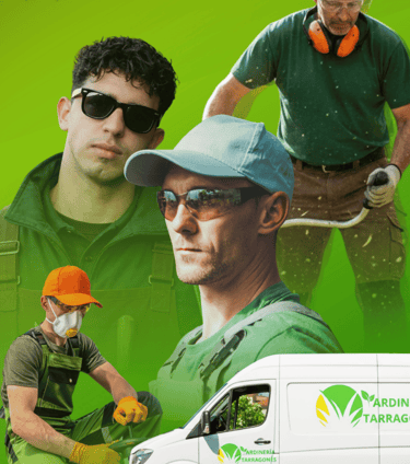 Empresa de jardinería en Torredembarra, Altafulla y Tarragona