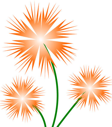 Fleurs oranges