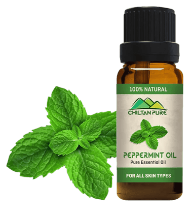 Green Peppermint leaves next to Peppermint Essential Oil Bottle