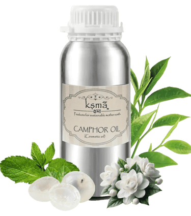 Camphor leaves and camphor essential oil in a silver bottle