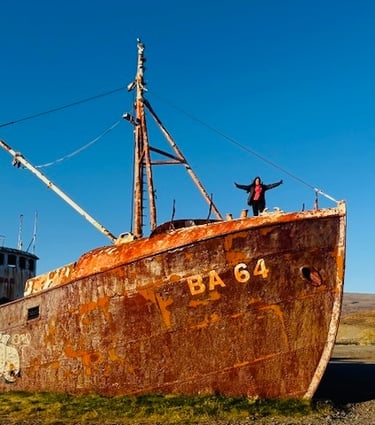 The Garðar BA 64