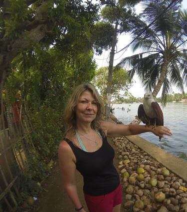 eagle on the waterway at Alappuzha, Kerala, India