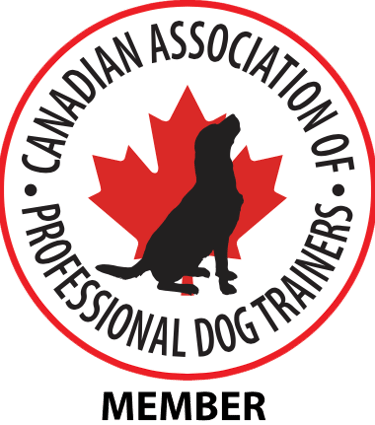 logo for CAPDT