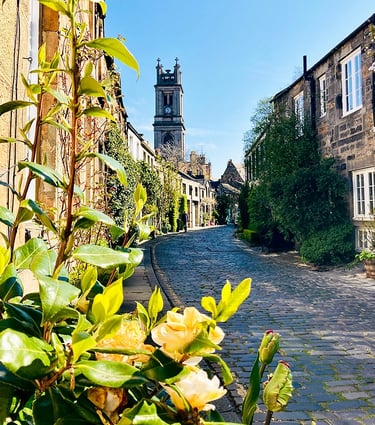 Circus Lane et ses roses jaunes
