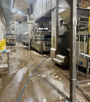 INDUSTRIAL GMP CLEANING AND SANITATION PRECISION CLEANING SERVICES