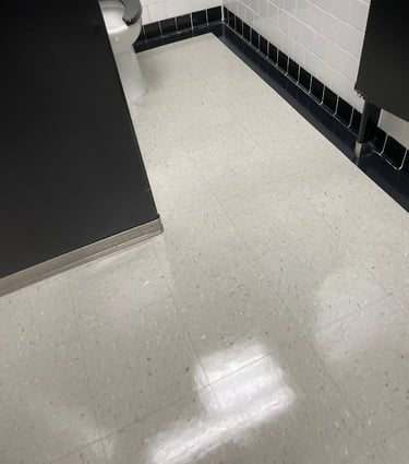 PROFESSIONAL JANITORIAL SERICES BATHROOM SPARKLING CLEAN PRECISION CLEANING SERVICES