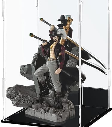 One Piece character in clear acrylic display case.