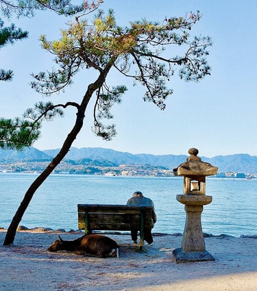 Un vieil homme sur un banc accompagné d'une biche sika au bord de l'eau