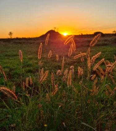 outback australia sunset desert vibes