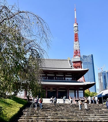 Vue de la Tokyo Tower depuis Zōjō-ji temple