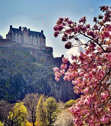 Château d'Edimbourg depuis Princes Street et ses arbres fleuris