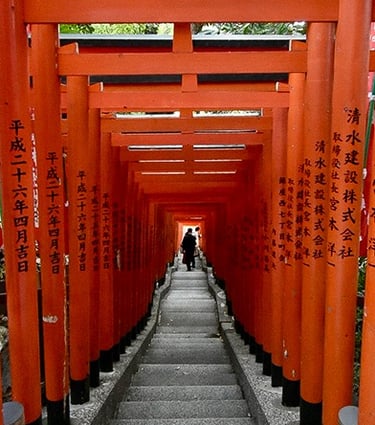 tunnel de torii du sanctuaire shinto Hie Shrine