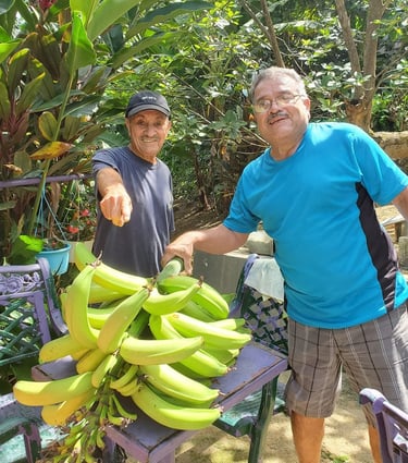 two guys with a bunch of plantains