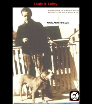 LOUIS B COLBY - COLBY PIT BULL DOGS