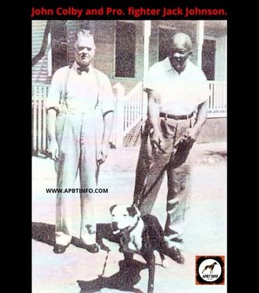 JOHN P COLBY DOGFIGHTING HISTORY APBT