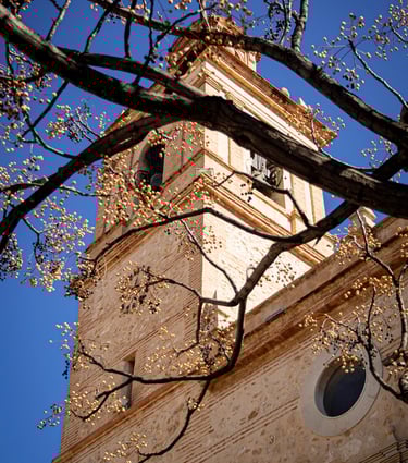 No clasificado 1 Color Febrero