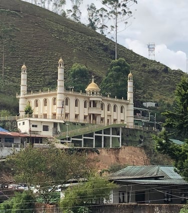 munnar, Kerala, Indida