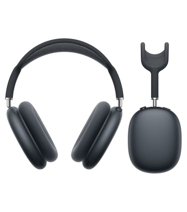 a pair of headphones with a microphone and a headphone