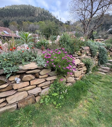 Natural stone wall with regenerative landscaping and aromatic plants – Miranda do Corvo, Portugal