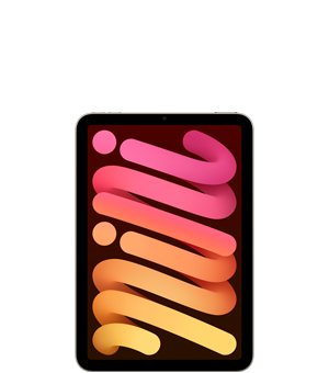 iPad Mini