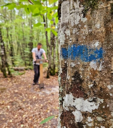 jeu de piste balise 4