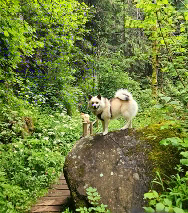 jeu de piste balise 2