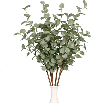 Eucalyptus Stems Greenery Stems Eucalyptus Leaf