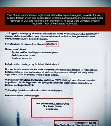 Retaliatory lawsuits by Zainab Ali, Elise Waaler Huseby and Emilie Austrheim Askestad