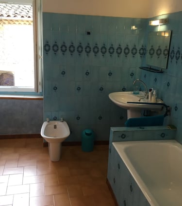 Salle de bain rustique avec carrelage mural bleu à motifs, baignoire blanche, bidet, 