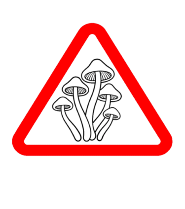 A red warning triangle featuring a mushroom illustration and the word INFUSED in dotted text.