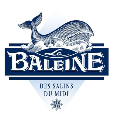 Maintenance industrielle dax