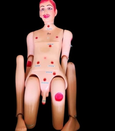Nursing Manikin Model