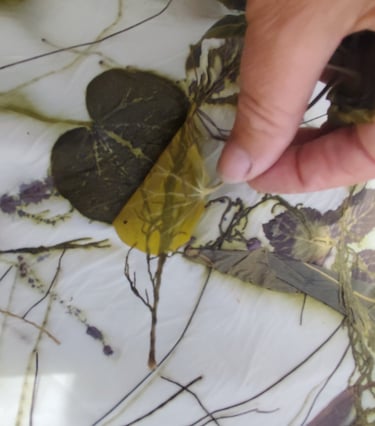 taller -ecoprint-menorca