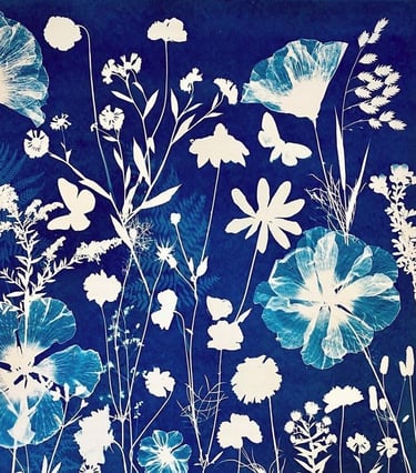 impression de cyanotype