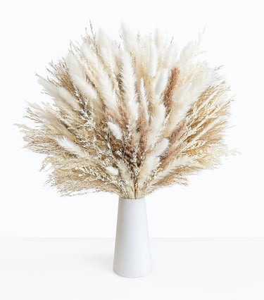 A high-resolution image of a dried pampas grass bouquet with soft beige and tan plumes arranged natu