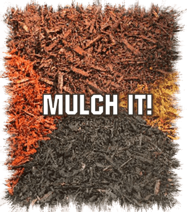 Mulch