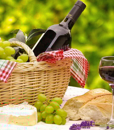 Viniculas do Douro