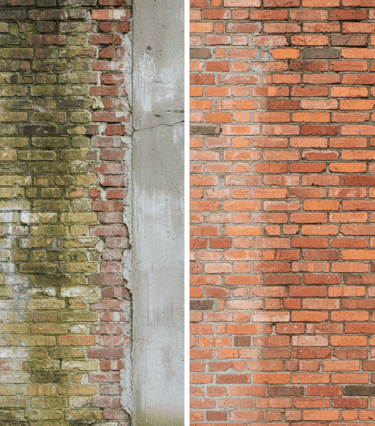 Andes y después de una pared recubierta de moho