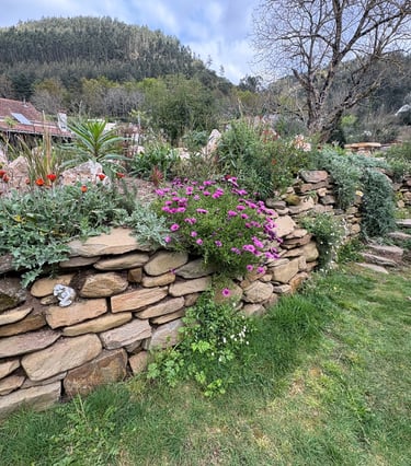 Natural stone wall with regenerative landscaping and aromatic plants – Miranda do Corvo, Portugal
