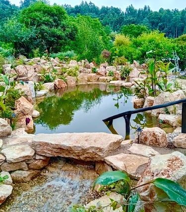 Limestone natural pool with negative edge & upflow wetland filtration – Mirando do Corvo, Portugal