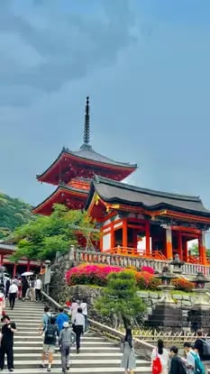 Kiyomizu-dera temple entrance with pink flowers and stone stairs in Kyoto