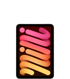 iPad Mini